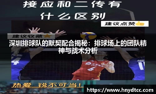 深圳排球队的默契配合揭秘：排球场上的团队精神与战术分析